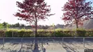 Lejlighed til leje, Smørum, Søagerhusene<span class="blurred street-number" onclick="ProcessAdRequest(108450)"><span class="hint">Se vejnr.</span>[xxxxxxxx]</span> - Ca. 55m2
