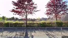 Lejlighed til leje, Smørum, Søagerhusene<span class="blurred street-number" onclick="ProcessAdRequest(117272)"><span class="hint">Se vejnr.</span>[xxxxxxxx]</span> - Ca. 60m2, Ca. 13.000&nbsp;kr.