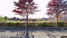 Lejlighed til leje, Smørum, Søagerhusene<span class="blurred street-number" onclick="ProcessAdRequest(117274)"><span class="hint">Se vejnr.</span>[xxxxxxxx]</span>