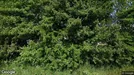 Lejlighed til leje, Klarup, Klarup Søpark<span class="blurred street-number" onclick="ProcessAdRequest(119939)"><span class="hint">Se vejnr.</span>[xxxxxxxx]</span>