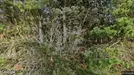 Lejlighed til leje, Rømø, Råbjergvej<span class="blurred street-number" onclick="ProcessAdRequest(122574)"><span class="hint">Se vejnr.</span>[xxxxxxxx]</span>