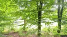 Lejlighed til leje, Toftlund, Østmarken<span class="blurred street-number" onclick="ProcessAdRequest(33395)"><span class="hint">Se vejnr.</span>[xxxxxxxx]</span>