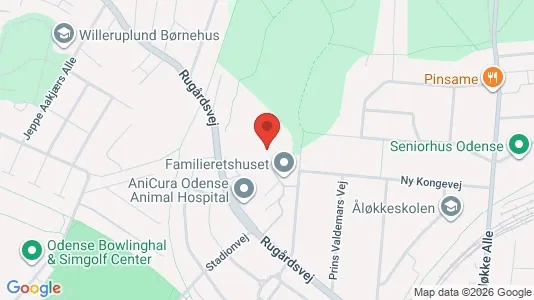 Lejligheder til leje i Odense C - kort over placeringen