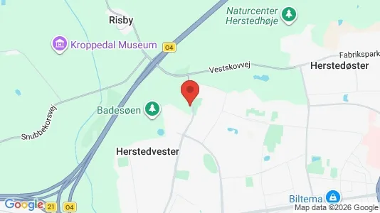 Lejligheder til leje i Albertslund - kort over placeringen