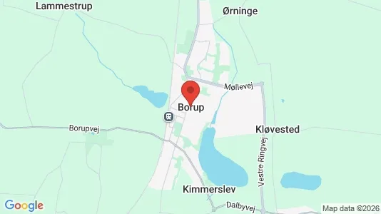 Huse til leje i Borup - kort over placeringen